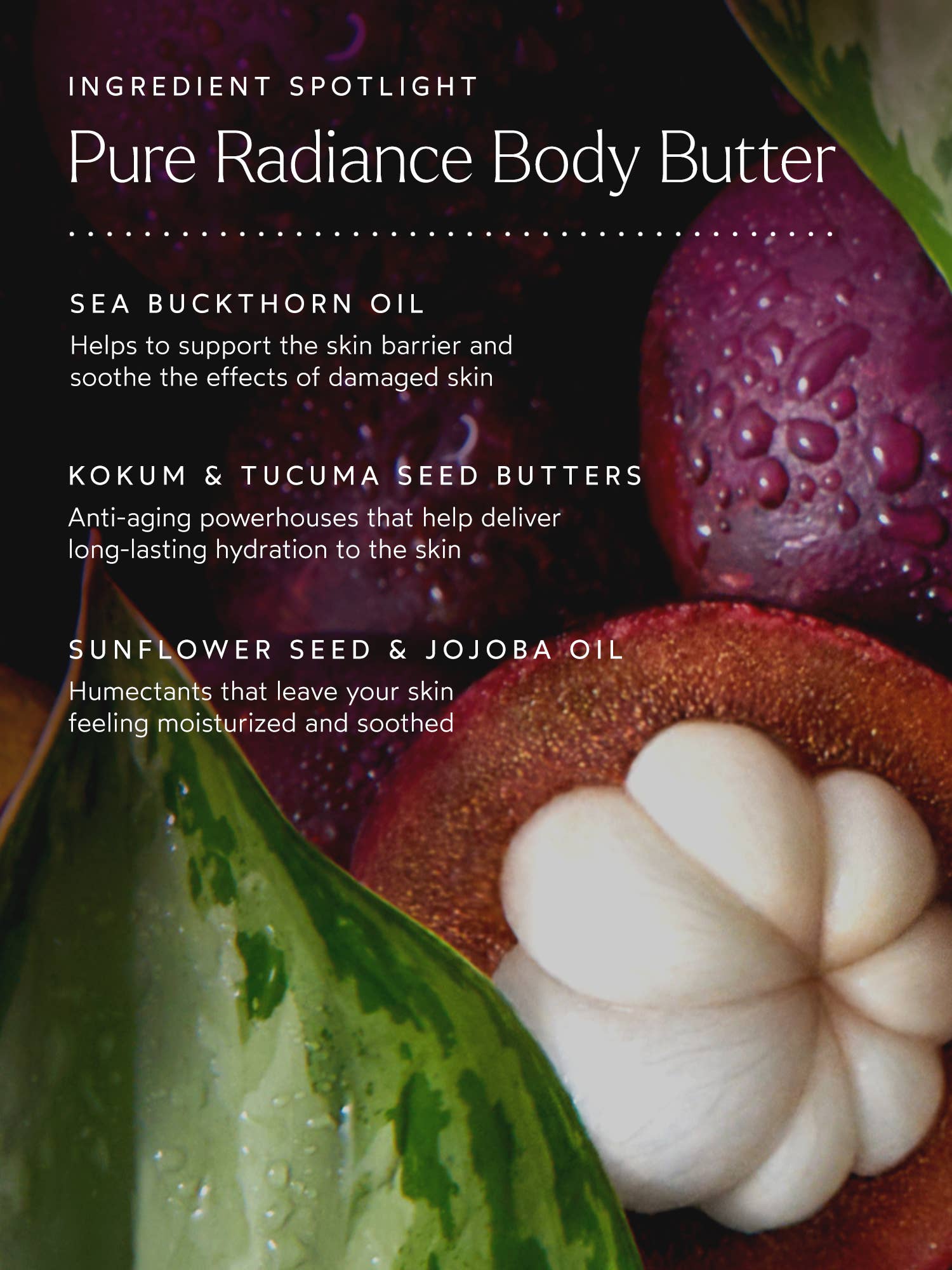 Body Love Pure Radiance Body Butter | Goop Body Care | Firming Body Cream 