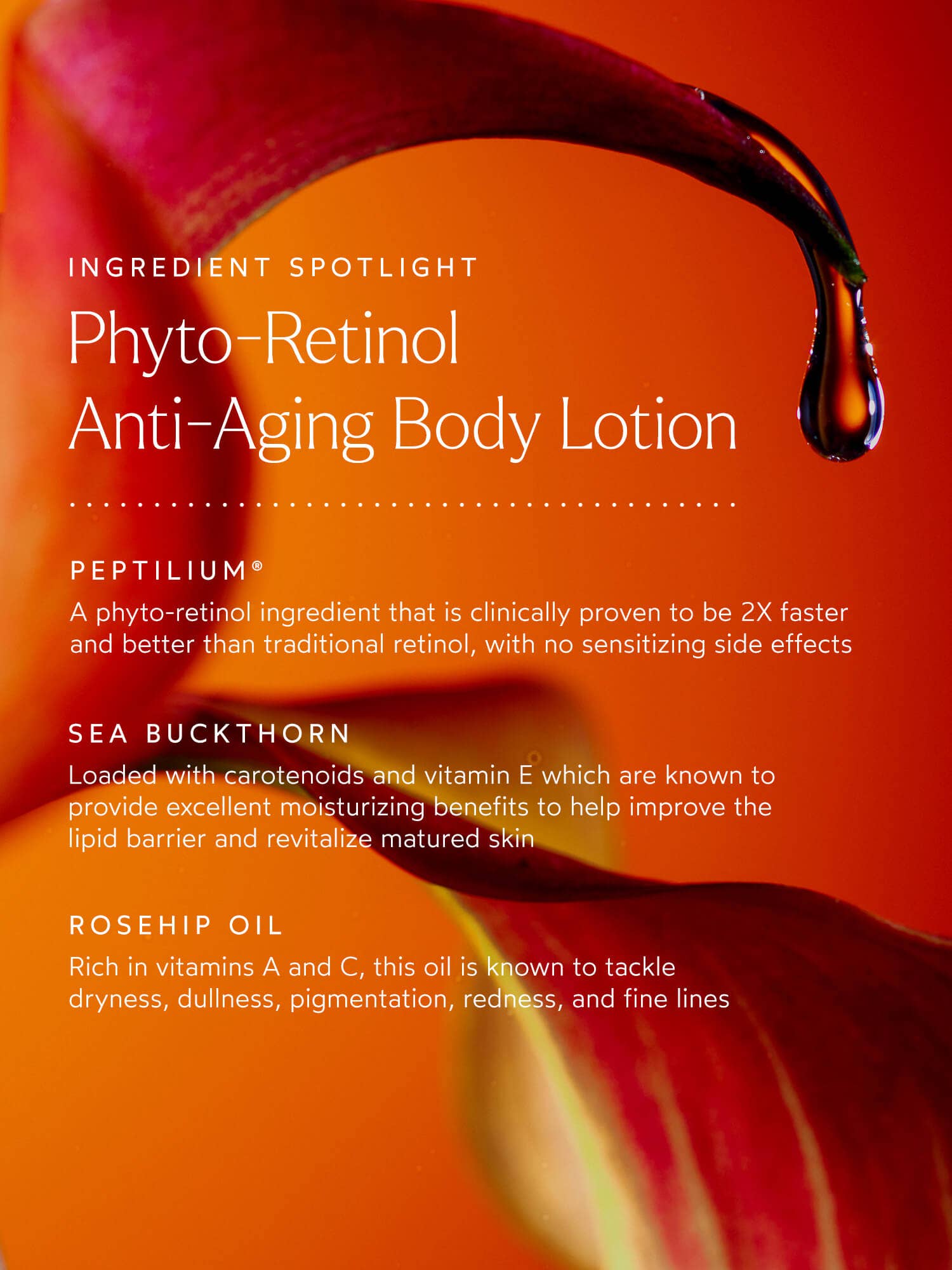 Phtyo Retinol Anti-Aging Body Lotion - True Botanicals - Goop.com body cream - Goop Skin care 