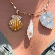 Gold Mother Of Pearl Scallop Shell Large