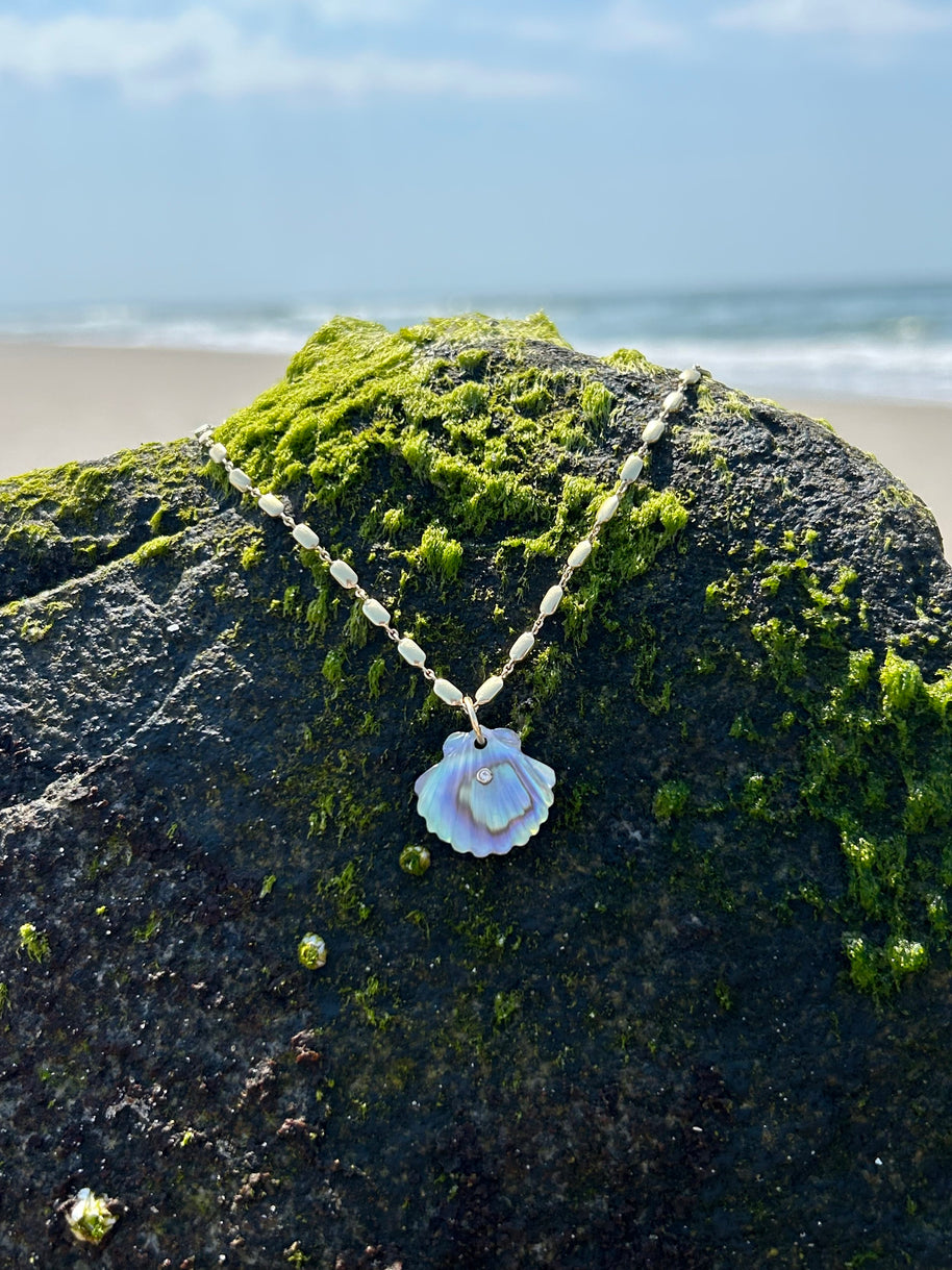 Luminescent Scallop Shell with Diamond