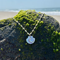 Luminescent Scallop Shell with Diamond