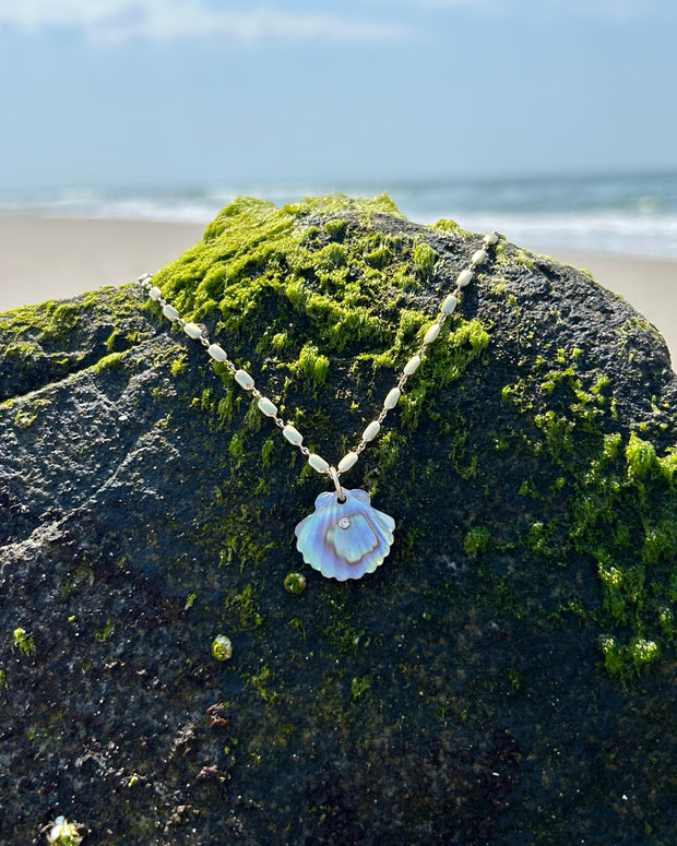 Luminescent Scallop Shell with Diamond