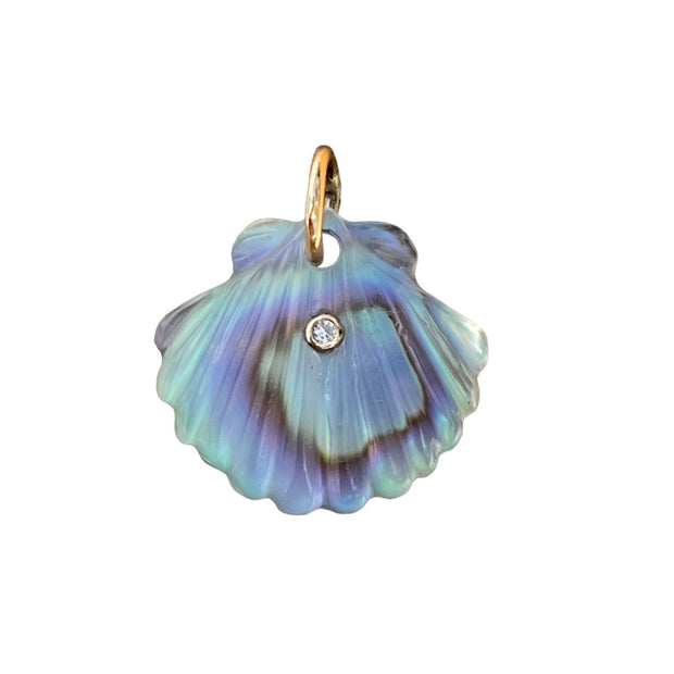 Luminescent Scallop Shell with Diamond