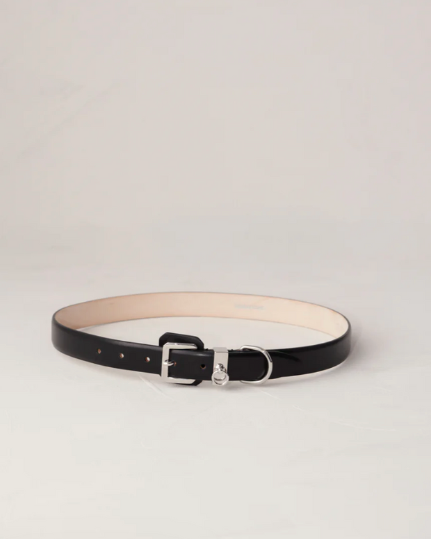 Dehanche Jolinard Belt in Black and Silver 