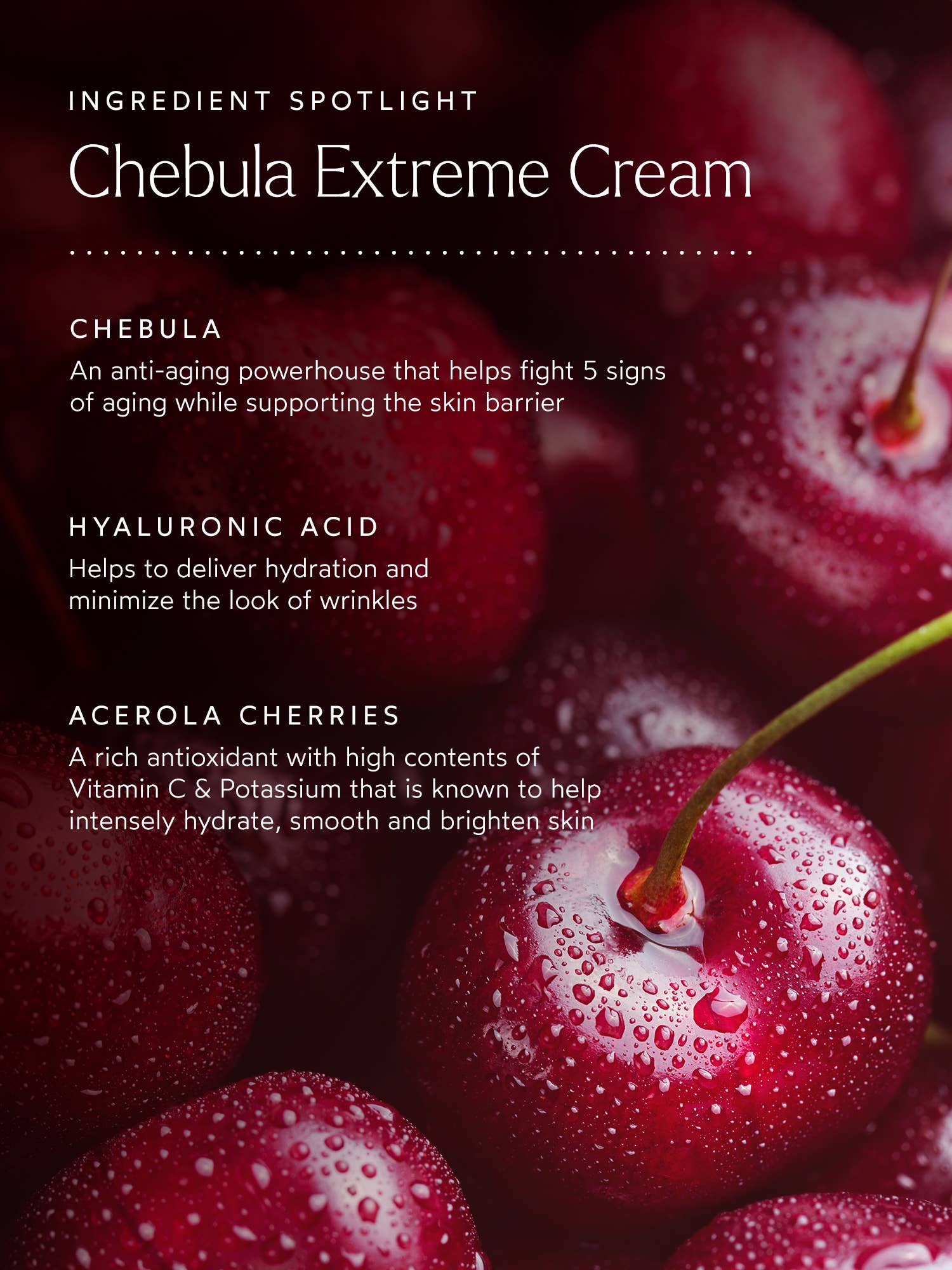 True Botanicals Renew Cheblua Extreme Creme - Face cream - Goop.com - Clean Skin Care - For Fine Lines and Wrinkles - Hydrating Face Cream