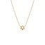 Mini Solid Star Of David Necklace 14K