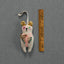 Sargent Pepper Bear - Cotton Ornament, Token, Embellished - Room Eight - Skippy Cotton