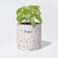 Terrazzo Plantable Candle - Room Eight - Esker